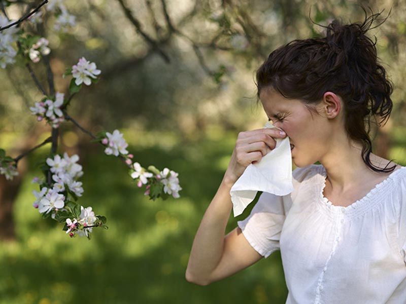How You Can Fight Springtime Allergies With Your HVAC System