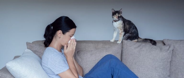 Dealing With Dirty Indoor Air